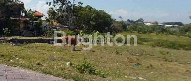 LAHAN UKURAN KECIL DI PANTAI PERERENAN, CANGGU - BALI 1