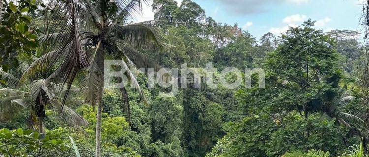 LAHAN DENGAN VIEW BAGUS DI KELIKI, UBUD RIVERSIDE - BALI 1