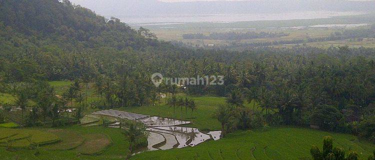 LAHAN SUDAH CUT & FILL DI DESA KEBUMEN, BANYUBIRU KAB SEMARANG 1