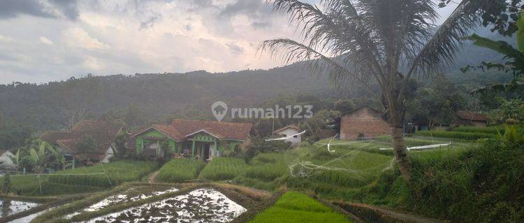 Tanah sawah lokasi Kamp Koleleuga, Gn Puntang Banjaran, dekat dgn Taman Wisata Bougenville, cocok utk villa 1