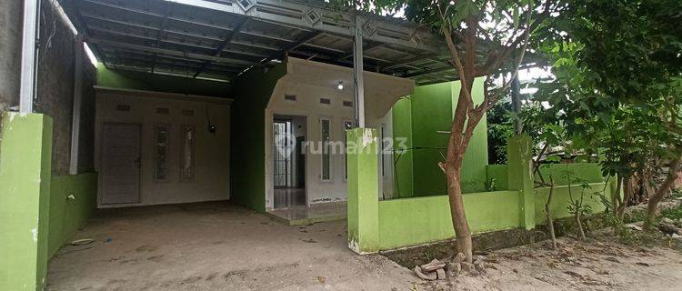 Rumah Syariah Murah Dekat Uin Raden Intan Lampung 1