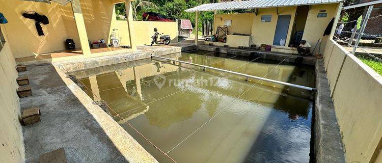 Kolam + Banngunan Di Jatiendah Cilengkrang Kab.bandung  1