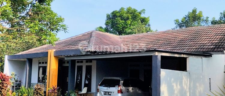Dijual Rumah Cijeruk Bogor Lt 1100 Daerah Pegunungan Udara Bersih  1
