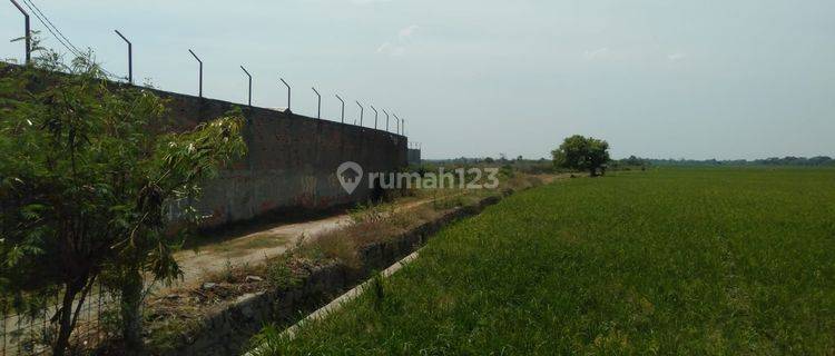 Tanah Karawang 25 Ha Rp.250 Rb Di Pantura Jatisarii Zona Pemukiman