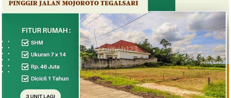 Tanah di Tegalsari Banyuwangi Area Genteng, Jajag 1