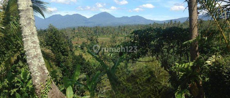 Tanah di Bali Gianyar Payangan SHM 4418 m² Harga Murah  1