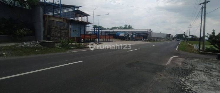 Tanah Pekarangan Kering Cocok Untuk Gudang 1