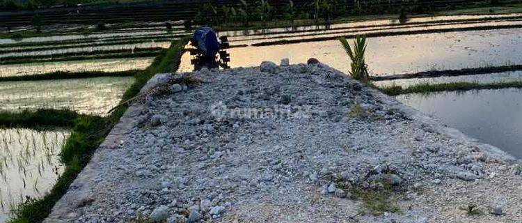 Tanah di Jalan Pantai Nyanyi, Beraban Tabanan 1148 SHM m² 1