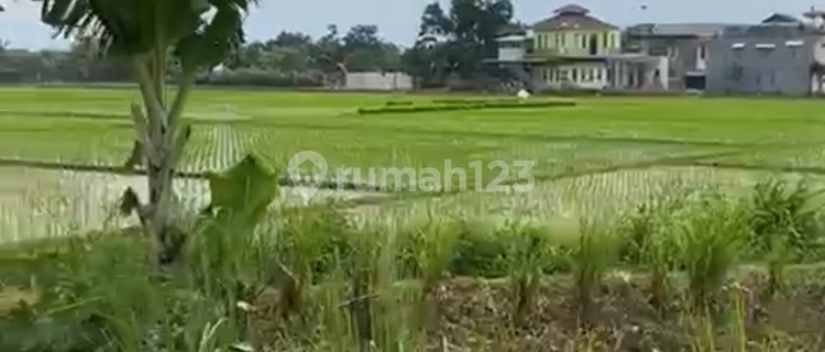 Tanah Sawah Luas Pinggir Jalan Raya Dekat Rencana Toll Gedebage Selatan Bandung 1