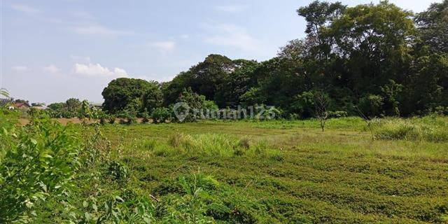 Tanah Hutan Kota Raya Jejalen Tambun Utara Bekasi 1