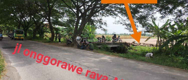 Tanah pinggir jalan raya mranggen demak,cocok untuk gudang&usaha 1