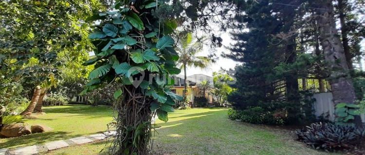 Tanah Mainroad Dago Lebar Muka 16m Bandung Utara 1