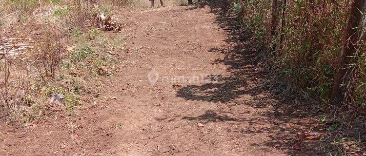 Dijual Lahan Nongkojajar Pasuruan Murah Cocok Untuk Kebun Dll 1