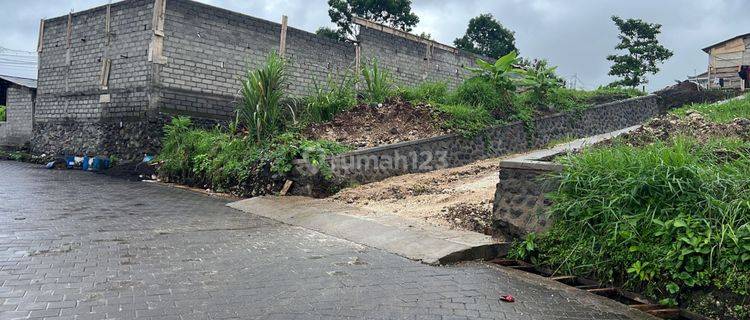 Tanah Disewakan Untuk Villa di Buduk Mengwi Ricefield View 1