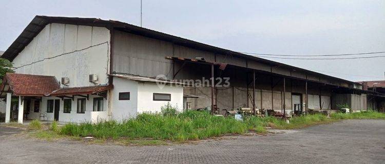 Gudang 4200 m2 nol jalan raya bangil pasuruan container 40 bisa lewat 1