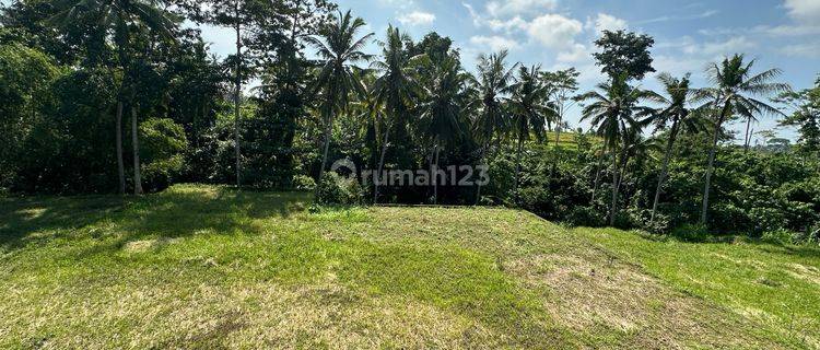 Tanah Sewa View Sungai Hutan Sawah Siap Bangun Villa  1