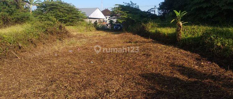 Super Spacious and Super Cheap Land in Tabanan 1