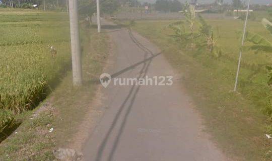 Tanah Sewa Lokasi Strategis Pantai Cemagi 1