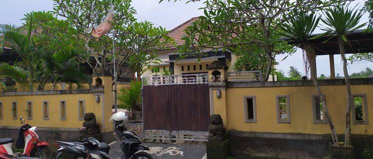 Rumah sewa dengan halaman luas di pering siap huni 1