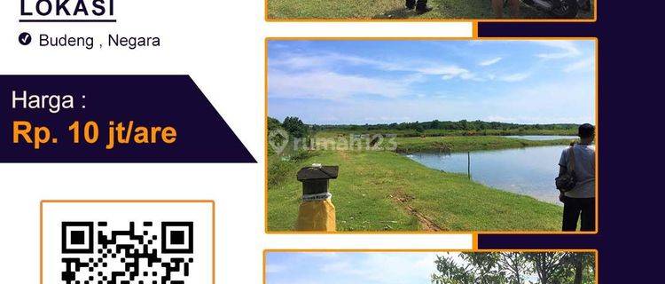Tanah murah bonus tambak di negara cocok investasi 1