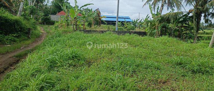 TANAH SEWA VIEW CANTIK DEKAT PANTAI SABA SIAP BANGUN  1