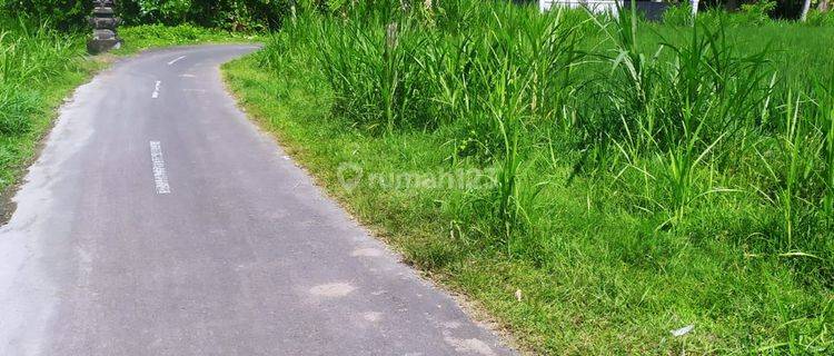 TANAH SEWA VIEW SAWAH DAN JUNGLE KEREN DI TIMUR UBUD 1