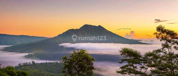 LAND WITH SUPER BEAUTIFUL VIEWS IN KINTAMANI  1