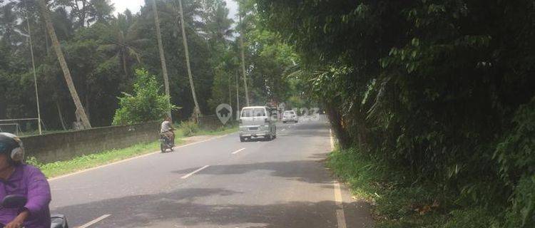 ROADSIDE LAND SUITABLE FOR A VILLA NEAR BEDUGUL  1