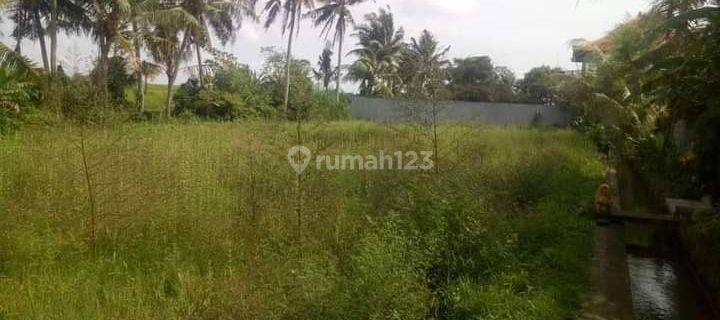 LAND FOR RENT READY TO BUILD VILLA IN KABA KABA VILLA ENVIRONMENT 1