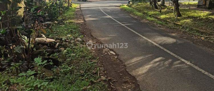TANAH PINGGIR JALAN BESAR SIAP BANGUN VILLA UBUD 1