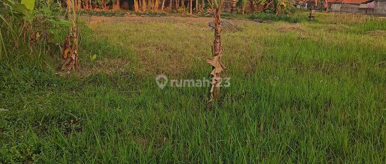 TANAH SEWA UKURAN KECIL DI UBUD AREA LINGKUNGAN VILLA 1