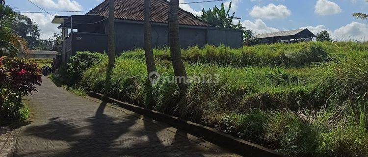 Tanah sewa view sawah lingkungan villa harga murah 1