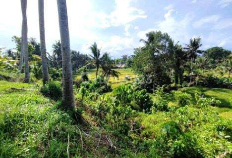 PREMIUM LAND MURAH DI LODTUNDUH UBUD VIEW CANTIK 1