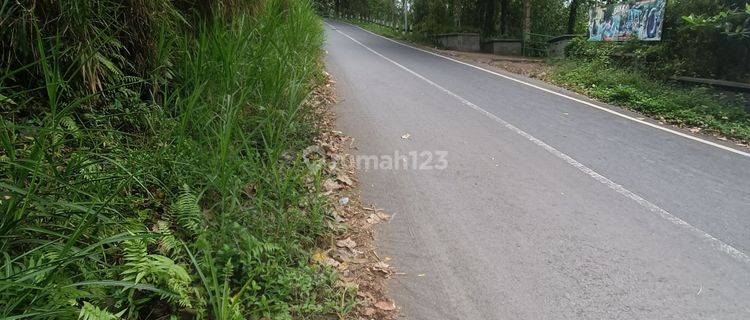 TANAH SEWA VIEW UNIK DI TAMPAK SIRING SIAP BANGUN  1