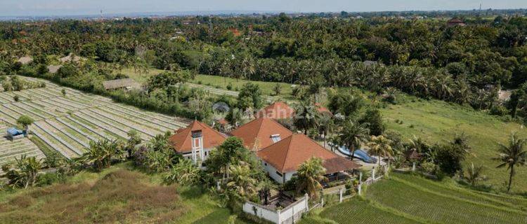 Villa View Super Keren Tanah Terluas Di Ubud Area 1