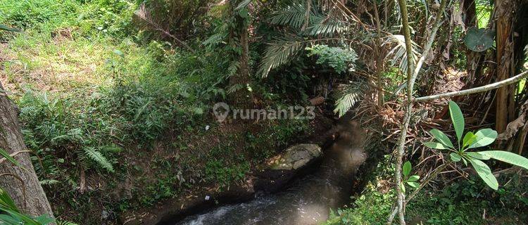 TANAH VIEW SUNGAI SAWAH JUNGLE PALING MURAH DI UBUD 1