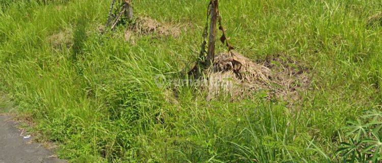 TANAH VIEW SAWAH KEREN COCOK VILLA RENTAL DI GIANYAR  1