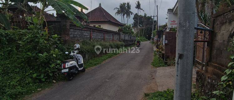 TANAH PINGGIR JALAN ASPAL COCOK VILLA RENTAL  1