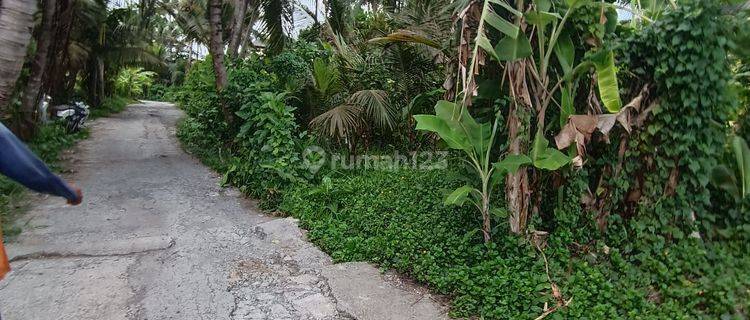 LAND FOR RENT NEAR SABA GIANYAR BEACH  1