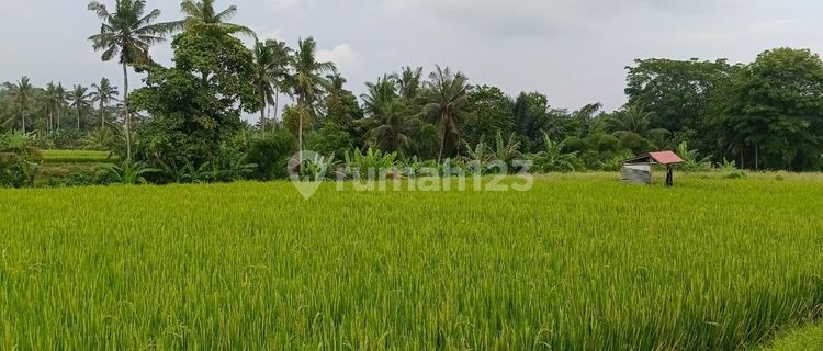 TANAH SEWA VIEW KEREN ZONA KUNING SIAP BANGUN  1