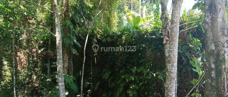 TANAH LOS SUNGAI DAN SAWAH KEREN COCOK VILLA RENTAL  1