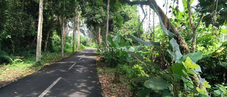 LAND FOR RENTAL SUITABLE FOR VILLA RENTAL SUPER COOL ETERNAL VIEW  1