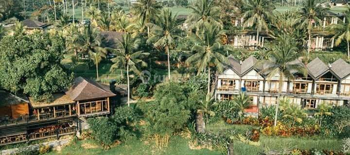 KOMPLEK VILLA RESORT SUPER KEREN DI UBUD   1