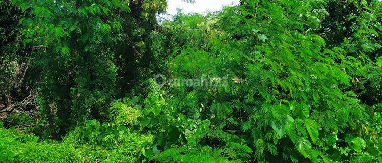 TANAH VIEW HUTAN ABADI HARGA MURAH COCOK VILLA RENTAL  1