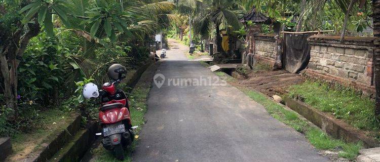 CHEAP RENTAL LAND IN LODTUNDU UBUD YELLOW ZONE  1