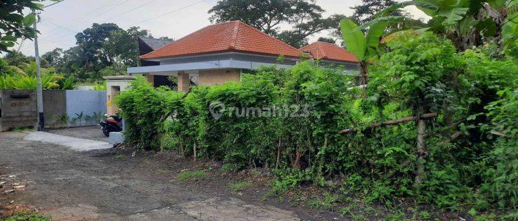 TANAH ZONA KUNING COCOK VILA RENTAL HARGA MURAH 1