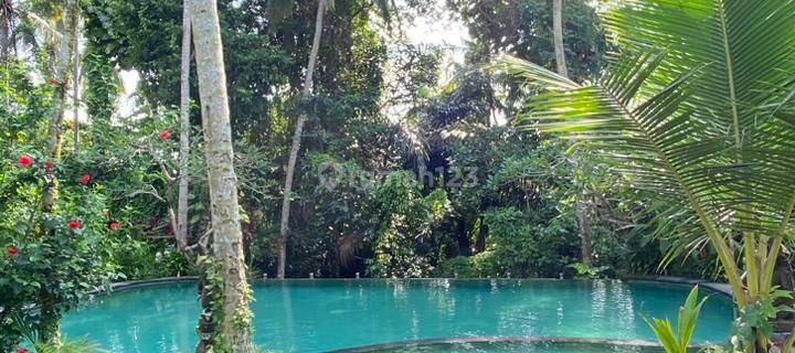 Vila Besar View Super Keren Ubud Central Harga Murah  1