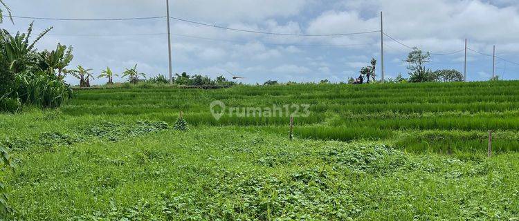 Tanah View Sawah Dekat Ke Pantai Berawa Cocok Vila Rental 1