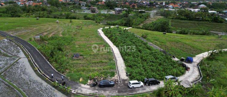 TANAH VIEW SAWAH CANTIK DEKAT PANTAI BERAWA 1