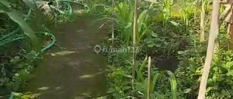 Tanah Central Ubud View Sawah Lingkungan Villa Rental 1